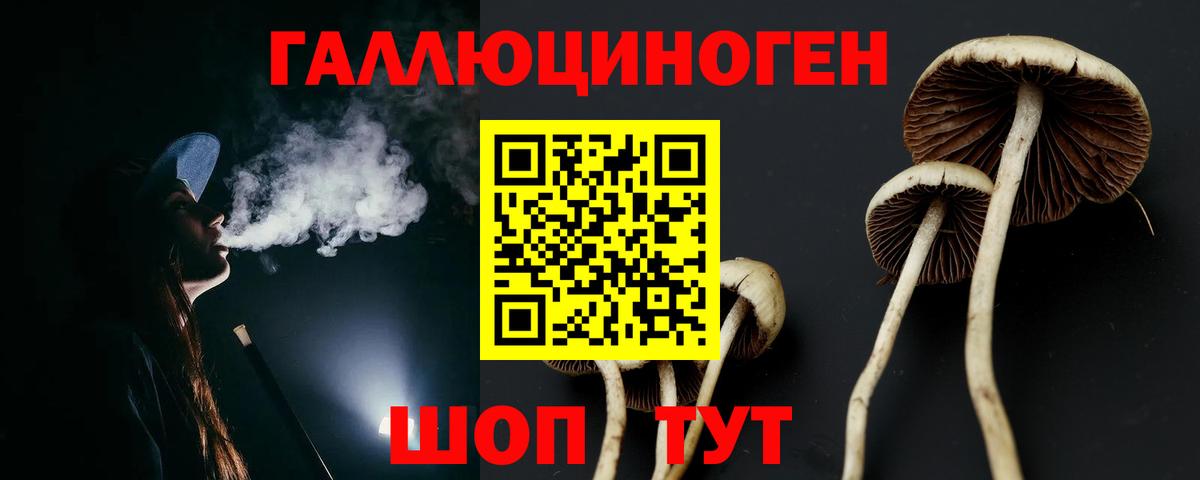 Псилоцибиновые грибы Psilocybine cubensis  цена наркотик  Нижневартовск  Вход с VPN 